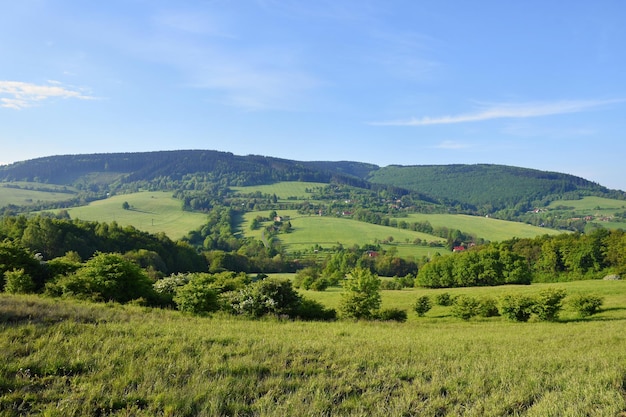 Beautiful landscape in the mountains in summer Czech Republic  the White Carpathians  Europe