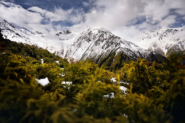 Beautiful landscape of mountains