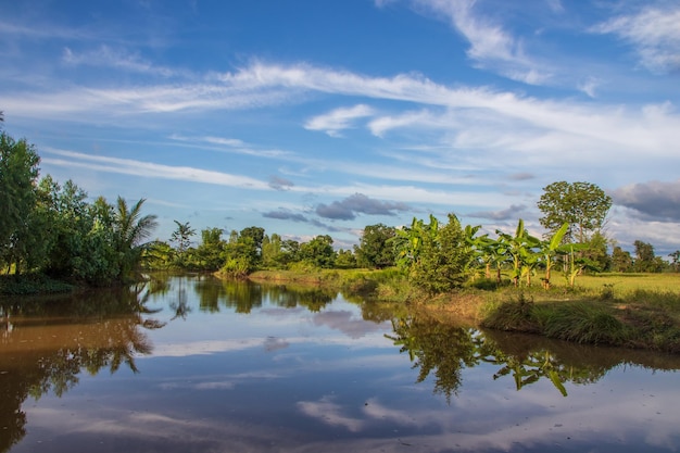 beautiful landscape and nature of Sisaket in the northeast of Thailand