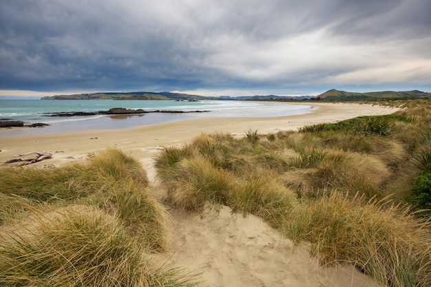 Beautiful landscape of the Ocean Beach, New Zealand.