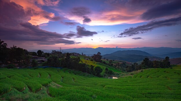 Beautiful landscape. Paddy fields at Pa Pong Pieng village, Mae Chaem, Chiang Mai, Thailand.