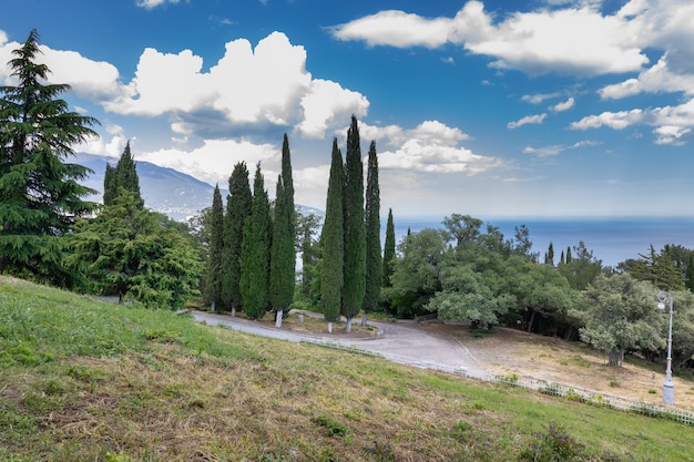 Beautiful landscape park of the Livadia Palace on the Black Sea coast. Yalta, Crimea