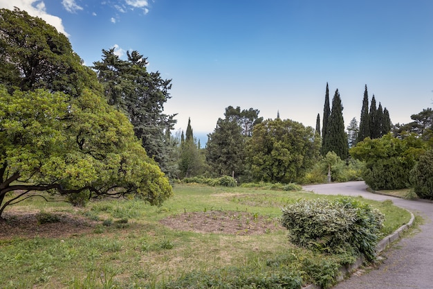 Beautiful landscape park of the Livadia Palace on the Black Sea coast Yalta Crimea