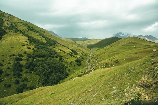 A beautiful landscape photography with Caucasus Mountains in Georgia