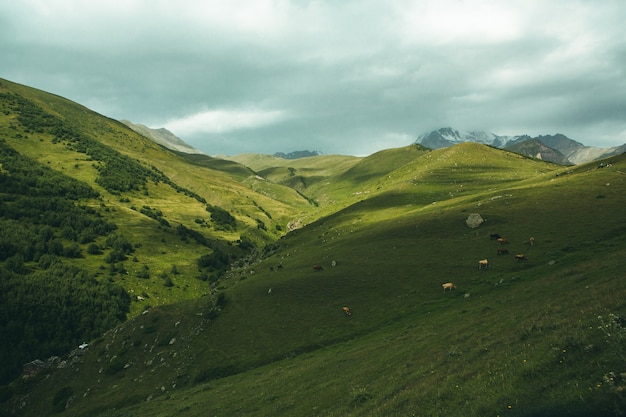 A beautiful landscape photography with Caucasus Mountains in Georgia