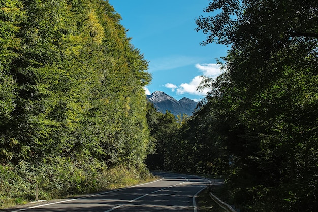 Beautiful landscape of road in forest on background of mountains