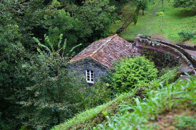 Beautiful landscape sceneries in Azores Portugal Tropical nature in Sao Miguel Island Azores