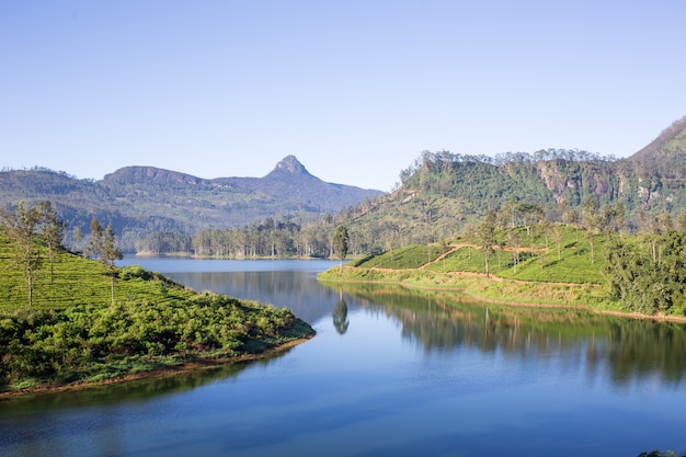 Beautiful landscape of sri lanka. river, mountains and tea plantations