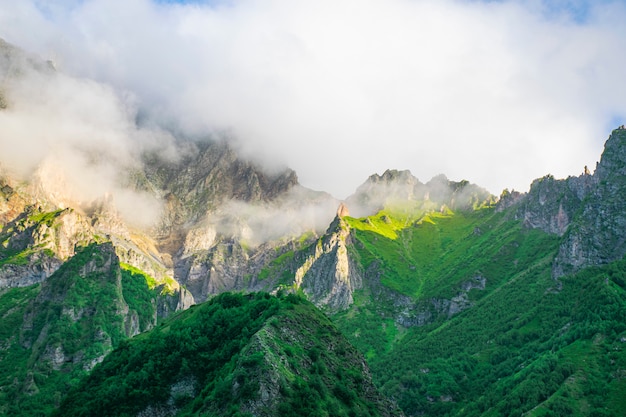 Beautiful landscape of summer mountain valley