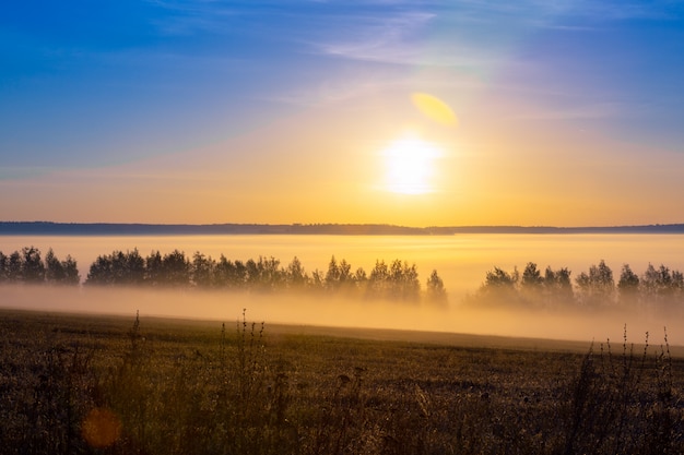 Beautiful landscape at sunrise in summer