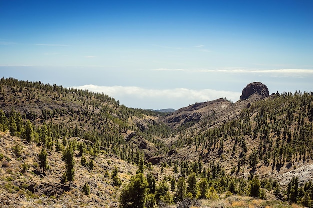 Beautiful landscape of Teide national park Tenerife Canary island Spain