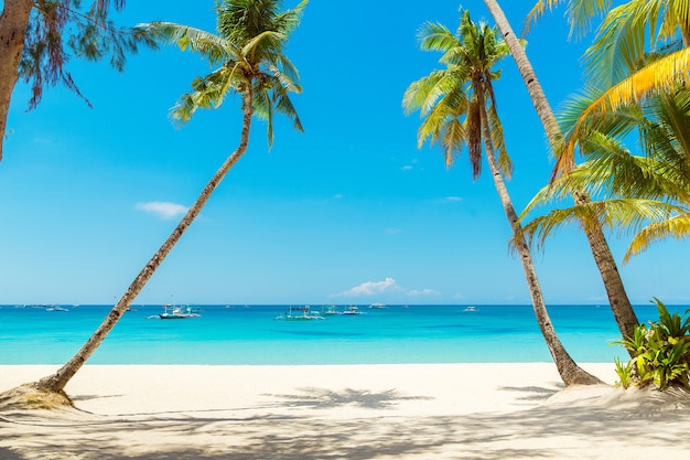 Beautiful landscape of tropical beach on Boracay island, Philippines. Coconut palm trees, sea, sailboat and white sand. Nature view. Summer vacation concept.