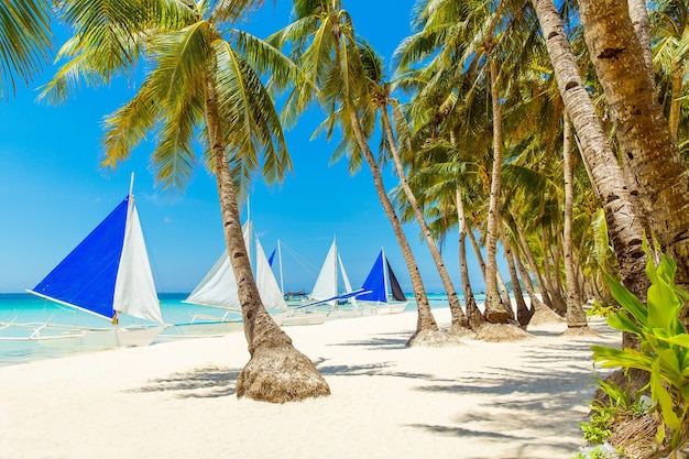 Beautiful landscape of tropical beach on Boracay island, Philippines. Coconut palm trees, sea, sailboat and white sand. Nature view. Summer vacation concept.