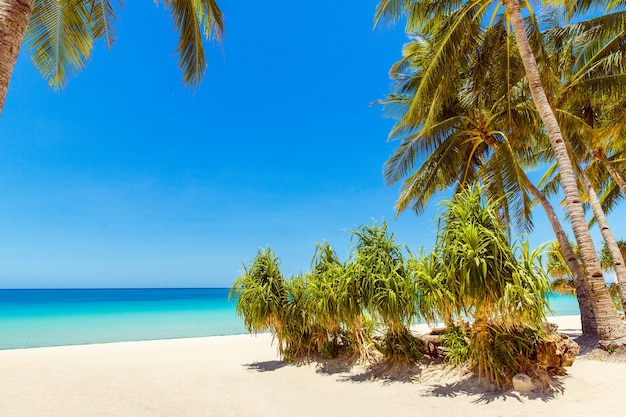 Beautiful landscape of tropical beach on Boracay island, Philippines under lockdoun. Coconut palm trees, sea, sailboat and white sand. Nature view. Summer vacation concept.