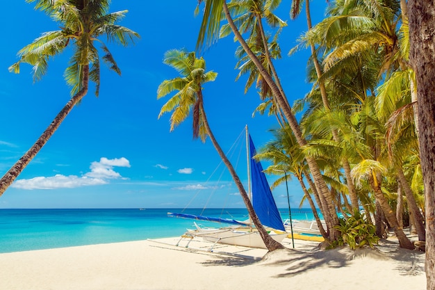 Beautiful landscape of tropical beach Coconut palm trees sea sailboat and white sand