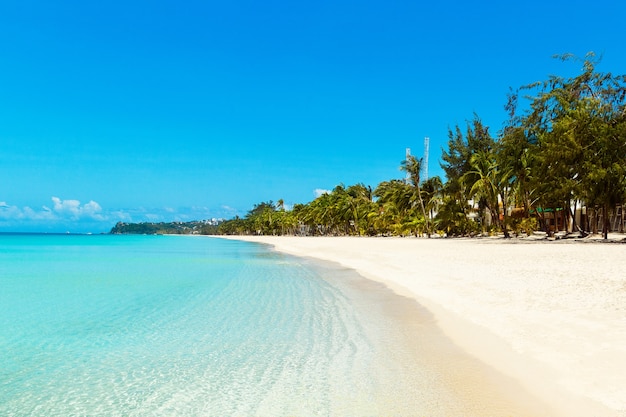 Beautiful landscape of tropical beach Coconut palm trees sea sailboat and white sand