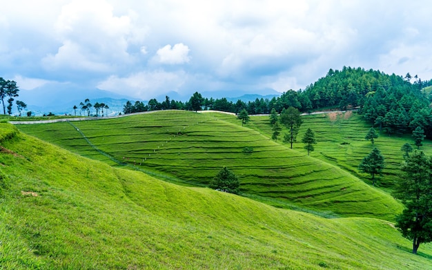 Beautiful landscape view greenery grassland at Makwanpur Nepal