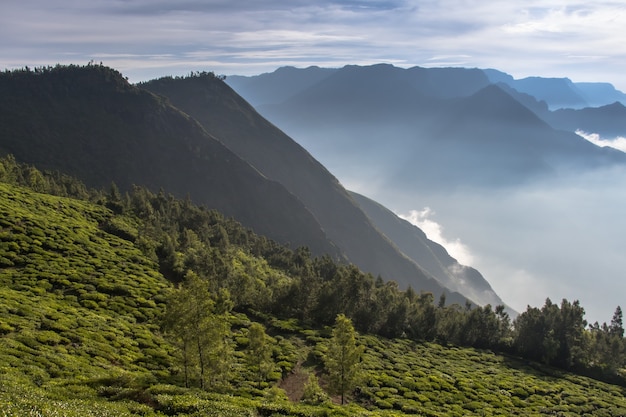 Beautiful landscape view of south India Kerala with bright morning sunlight