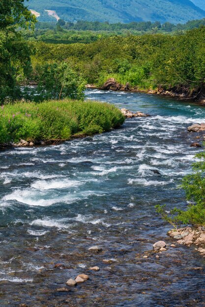 Beautiful landscape - view of stream clear water of mountain river and green forest on river bank. Scenery summer wild nature on sunny weather.