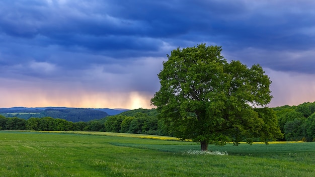 Beautiful landscape view at sunset