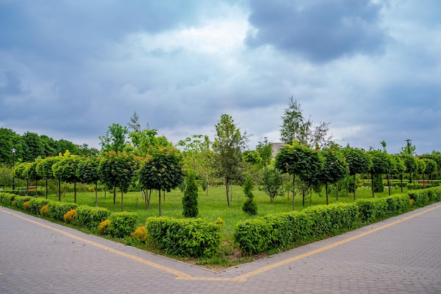 Beautiful landscape view of walkway leading to modern white suburban houses and beautiful nature around