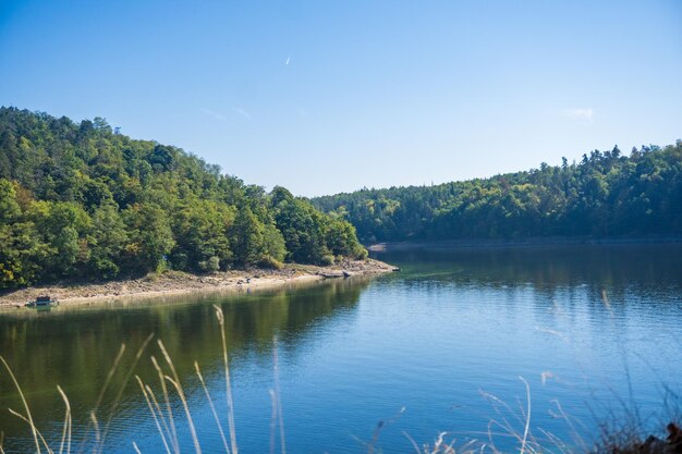 Beautiful landscape of the vltava river and the forest near zvikov castle czech