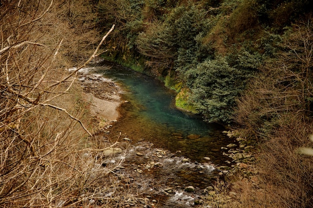 Beautiful landscape of the wild mountain blue river among the dry and green trees in Geordia