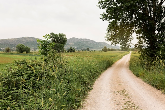 Photo beautiful landscape with country road