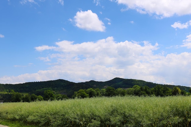 Beautiful landscape with green hills and cloudy sky