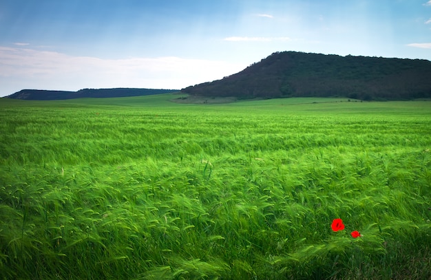 Beautiful landscape with green meadow, mountain and blue cloudy sky