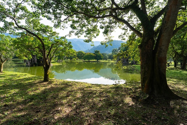 Beautiful landscape with lake and trees