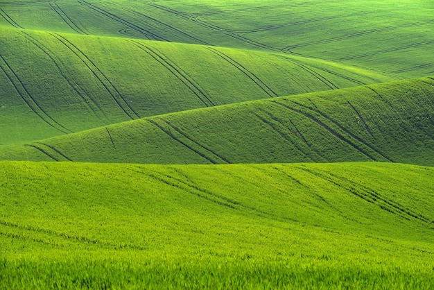 Beautiful landscape with spring nature Waves on the field South Moravia Moravian Tuscany Czech Republic Europe