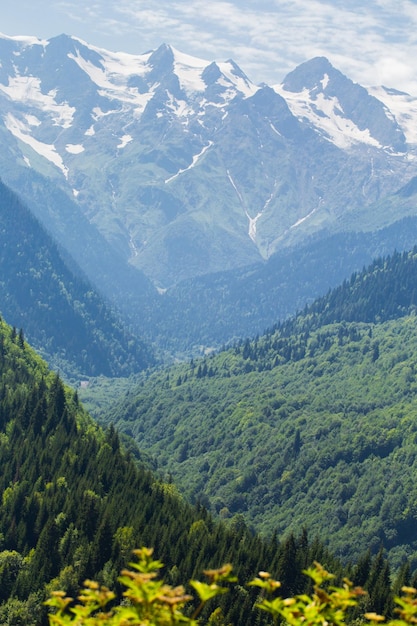 beautiful landscape with summer mountains in sunlight