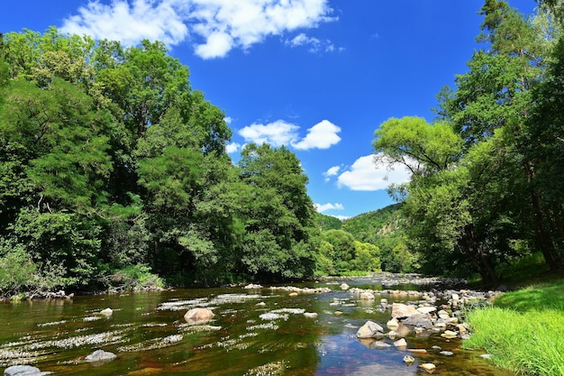 Beautiful landscape with summer nature Jihlava River Valley South Moravia Czech Republic