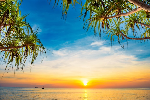 Beautiful landscape with sunset at tropical beach with palm trees