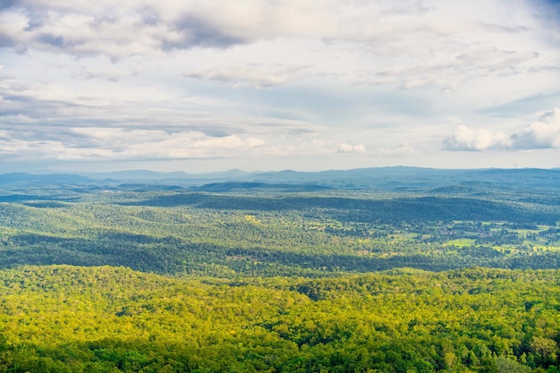 Beautiful landscape with trees mountain and sky