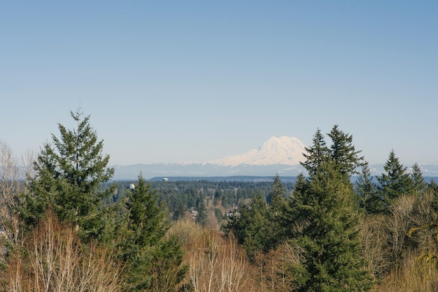 Beautiful landscape with a view of the Rainier volcano from Olympia