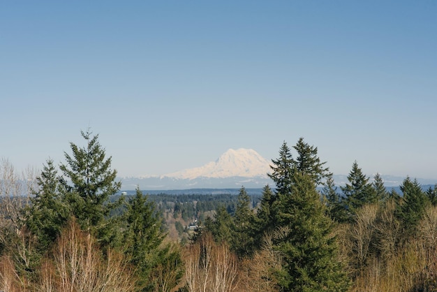 Beautiful landscape with a view of the Rainier volcano from Olympia