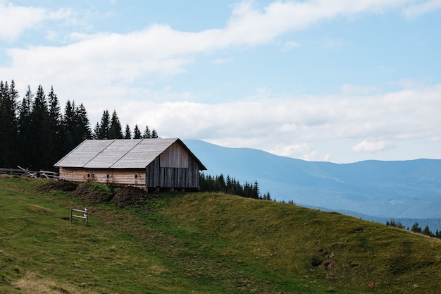 Beautiful landscape with a wooden building on the grassy hill surrounded by trees