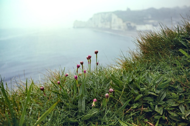 Beautiful landscapes of Etretat