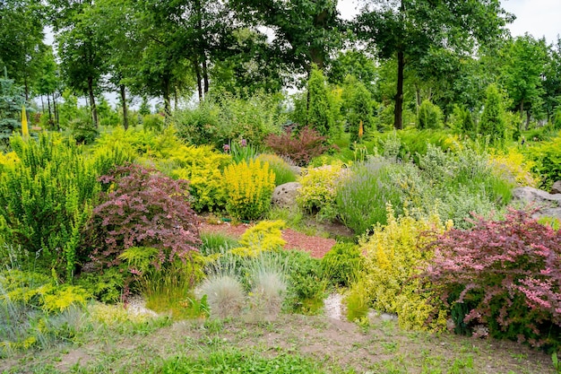 Beautiful landscapes of flowers and nature Green grass and pretty bloom