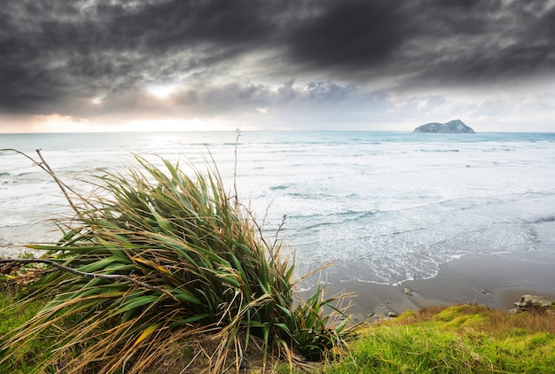 Beautiful landscapes it the Ocean Beach, New Zealand.