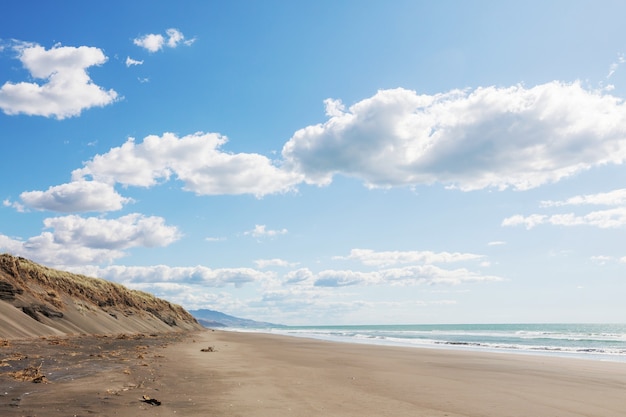 Beautiful landscapes it the Ocean Beach, New Zealand.