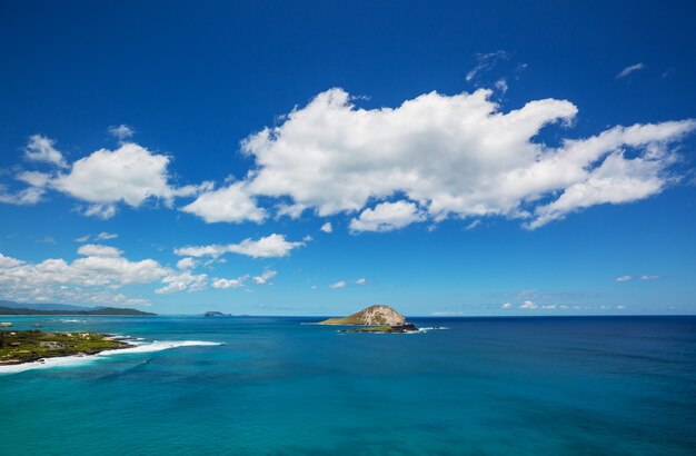 Beautiful landscapes in Oahu island, Hawaii