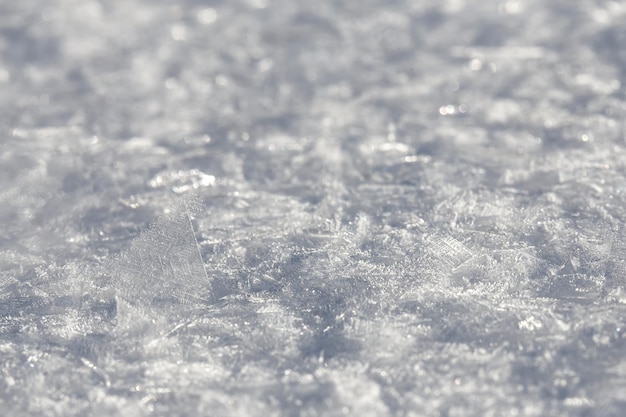 Photo beautiful large crystals of frost lay on the cold snow in early morning in backlit sunlight