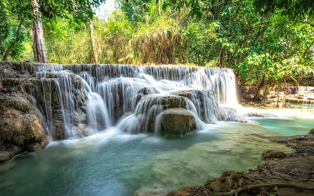 Beautiful large waterfall flowing between rocks in a deep green forest. 