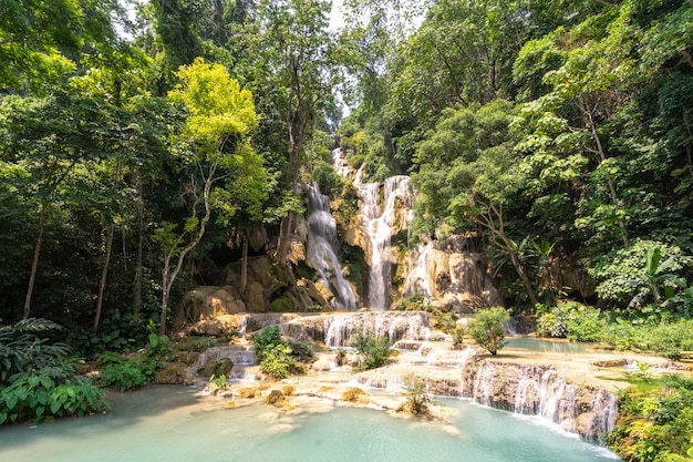 Beautiful large waterfall flowing between rocks in a deep green forest. 