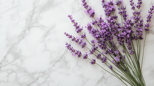 Beautiful lavender flowers bouquet Lavender Flowers on Marble Background