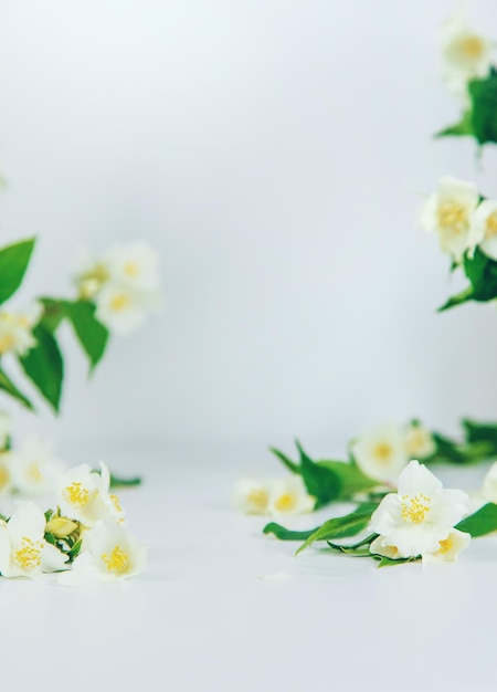 Beautiful light background with jasmine flowers Place for a subject Selective focus