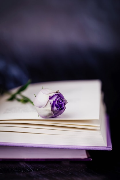 Beautiful light violet eustoma  flower and book